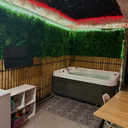 Avec Jaccuzi & Jardin Proche Du Centre